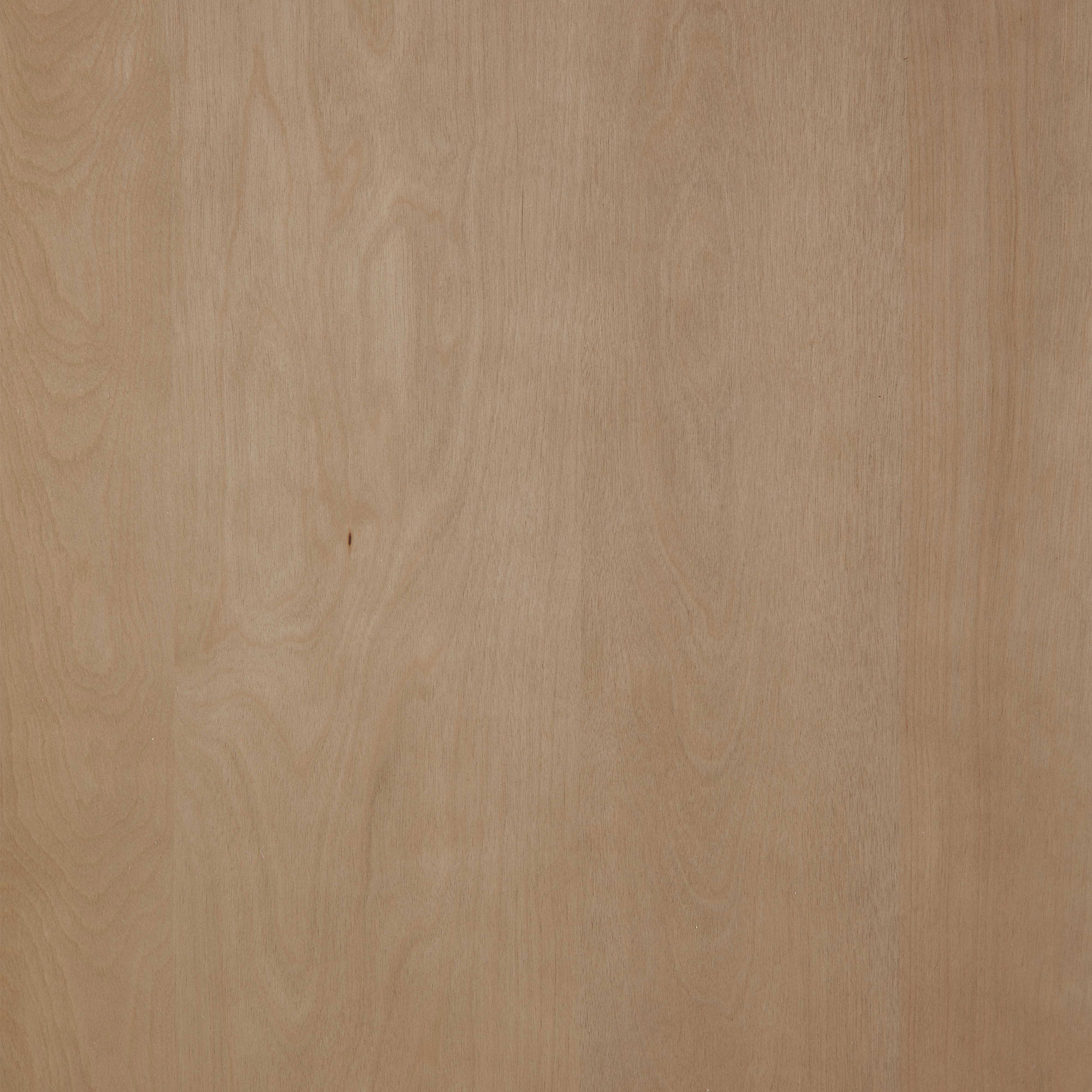 img1754191015_5.jpeg 6